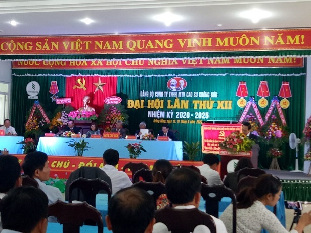Sản lượng Cao su Krông Buk đạt 102,2% so Nghị quyết